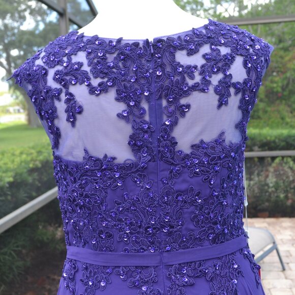 NEW JJs House Dress Mother of the Bride / Groom Bridesmaid Size 16 Gown Regency - Picture 4 of 16